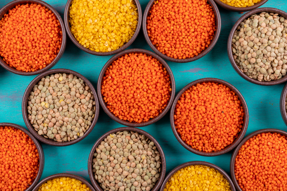 Home - Sustainable Horticultural Solutions