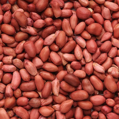 Premium Peanuts - Quality Export